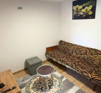 A room in a family house with an animal print sofa and wood-patterned flooring.