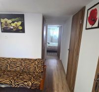 A hallway in a family house with a zebra-patterned sofa and paintings on the walls.