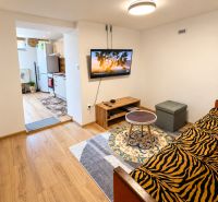 Interior of a family house with a wooden decor floor, a sofa, and a television.