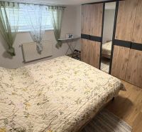 Bedroom in a family house with wood-patterned flooring, built-in wardrobe, and bed.