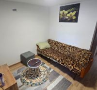 Living room in a family house with wood-patterned flooring, a sofa, and a television.