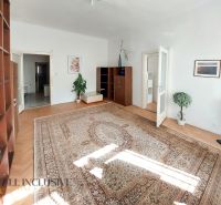 A bright living room with wood-patterned flooring, a carpet, and furniture in a two-room apartment.