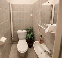 Bathroom in a 2-room apartment with tiles, a sink, a toilet, and a decorative plant.