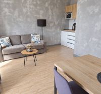 A minimalist living room in a two-room apartment with a wooden decor floor and a gray sofa.