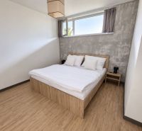 Bedroom in a 2-room apartment with a bed, gray wall, and wood-patterned floor.