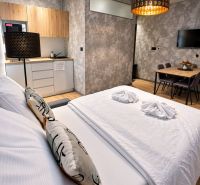 Bedroom and kitchenette in a 2-room apartment with a wooden decor floor.