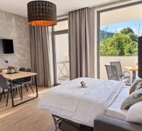 A room in a 2-room apartment with a wooden decor floor, a dining table, and a bed.