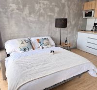 2-bedroom apartment with a sofa converted into a bed, a kitchenette, and a wooden decor floor.