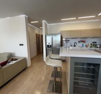 A kitchen in a 3-room apartment with a bar counter and a wooden decor floor.