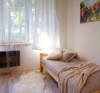 Studio apartment with a bed, blanket, and window, next to a wooden decor counter.