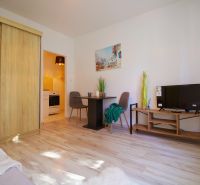 Studio apartment with a bright living room, wood-patterned flooring, and a kitchenette.