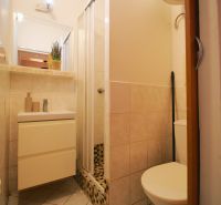 A bathroom in a studio apartment with a shower and a sink.