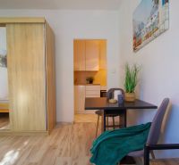 A studio apartment with a wooden floor, a table, and a plant, cozy furnishings.