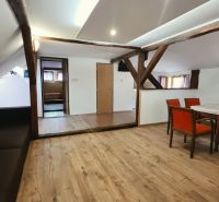 A recreational apartment with wooden beams and wood-decorated flooring offers a dining area.