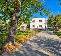 A family house in Martin with a garden, trees, and a paved walkway.