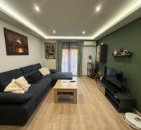 Living room in a two-room apartment with a wood-patterned floor and a sofa.