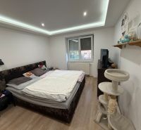 A bedroom in a two-room apartment with a wooden decor floor and a cat scratching post.
