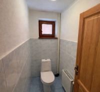 A toilet in a family house with blue tiles and a small window.