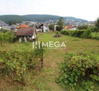 The garden at family houses on Brestovska Street in Humenne with a view of the city.