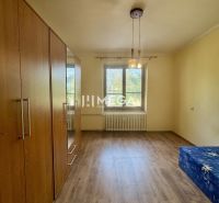 A room in a 2-room apartment with a wooden decor floor and a built-in wardrobe.