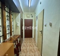 A hallway in a 2-room apartment with a coat rack and a floor with a wooden decor.