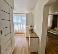 Interior of a 1-room apartment with a bright living room and a wooden decor floor.