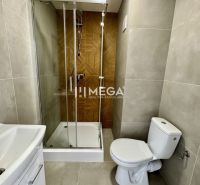 Bathroom in a studio apartment with a shower and ceramic tiles.