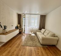 Living room in a studio apartment with a sofa and wood-patterned flooring.