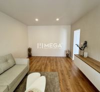 Living room in a studio apartment with wood-patterned flooring, a sofa, and decorations.