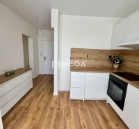 A kitchen in a studio apartment with white cabinets and a wood-patterned floor.