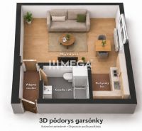 3D floor plan of a studio apartment: living room, kitchenette, bathroom with toilet, entrance hallway.