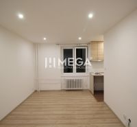 Living room in a holiday apartment with wood-patterned flooring and a simple kitchenette.