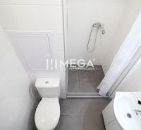 Bathroom in a holiday apartment with a toilet, shower, and sink.