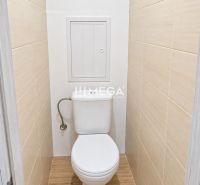 Bathroom in a 2-room apartment with tiles and a wood-patterned floor.