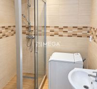A bathroom with a spacious shower and a washing machine in a 2-room apartment.