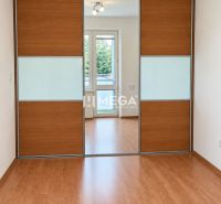 Wooden decor flooring, built-in wardrobe, and light fixture in a 2-room apartment.