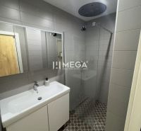 A bathroom in a 3-room apartment with a shower, a sink, and patterned flooring.