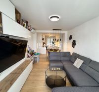 Living room in a three-room apartment with a wooden decor floor and a gray sofa.