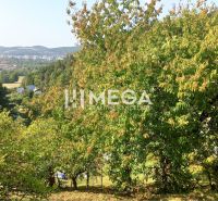 The greenery of gardens in Humenné with a view of the distant city and hills.