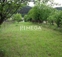 Greenery and fruit trees on a residential plot in Ptičie on Ptičie Street.