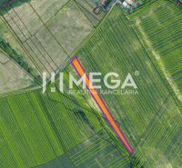 Aerial view of residential plots in Ptičie on Ptičie Street.