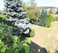 A garden at a family house on Kudlovska Street in Humenne with coniferous trees.