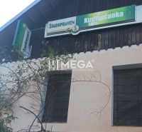 A family house on Kudlovska Street in Humenne with a green plant on the facade.