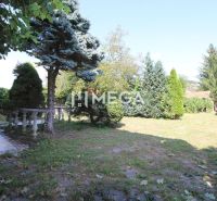 A garden at a family house on Kudlovska Street in Humenne, surrounded by coniferous trees.