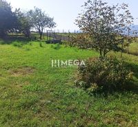 A grassy plot in Humenné for living, fenced and with planted trees.