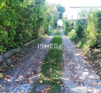 Path between trees on a residential plot in Humenné on Humenné Street.