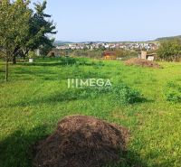 Greenery and trees on residential plots in Humenné.