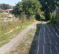 A gravel road leads through green residential areas on a street in Humenné.
