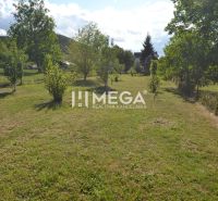 The garden at the family house on Hažín nad Cirochou Street in Hažín nad Cirochou.