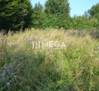 A meadow with wildflowers and grass surrounds Vyšné Ladičkovce with a view of the forests.